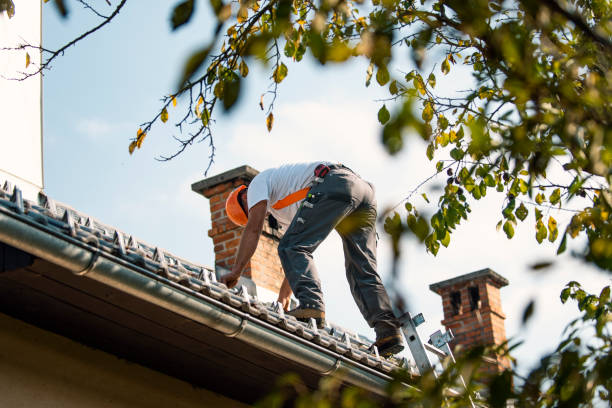 Best Best Roofing Contractors  in Custer, SD