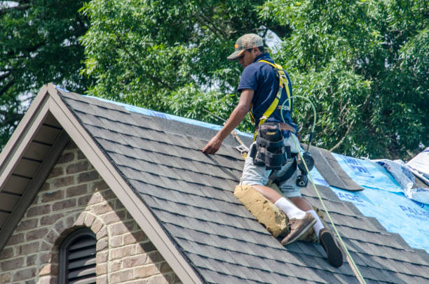 Best New Roof Installation  in Custer, SD